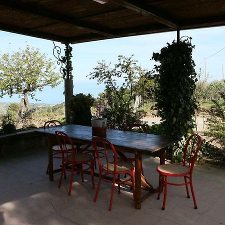 B&B Il Vigneto Trebisacce Exterior foto